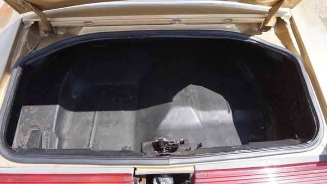 1980 Pontiac Firebird Formula Tribute - photo 9