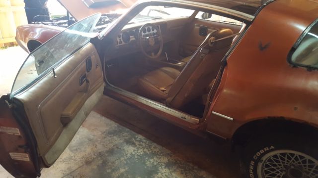 1980 Pontiac Firebird Formula Turbo - photo 2