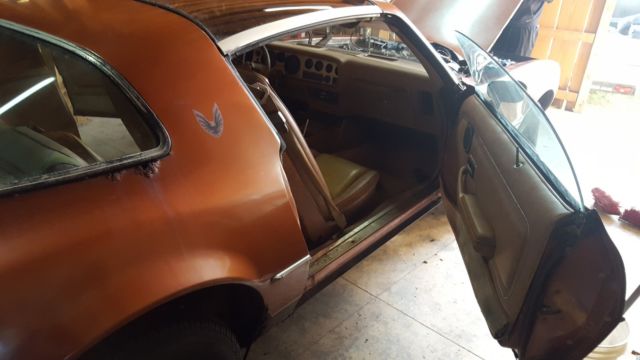 1980 Pontiac Firebird Formula Turbo - photo 5