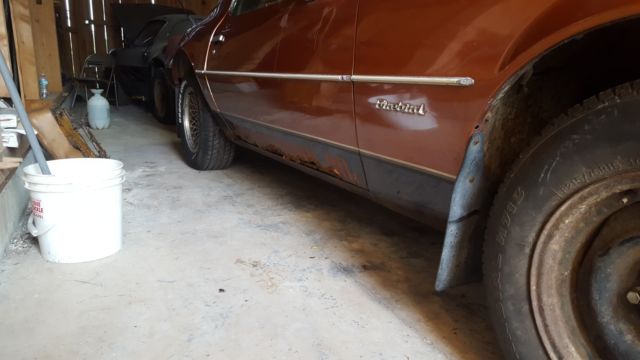 1980 Pontiac Firebird Formula Turbo - photo 6