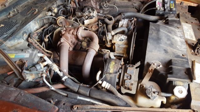 1980 Pontiac Firebird Formula Turbo - photo 8
