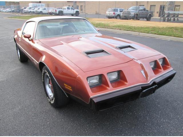 1980 Pontiac Firebird - photo 3