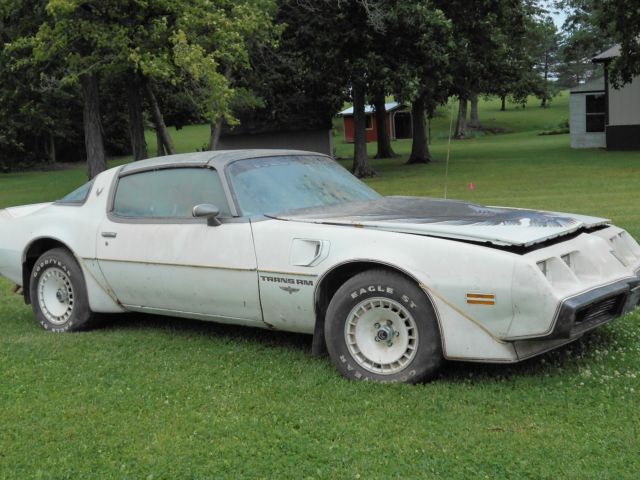 1980 Pontiac Firebird Indy Pace Car Turbo