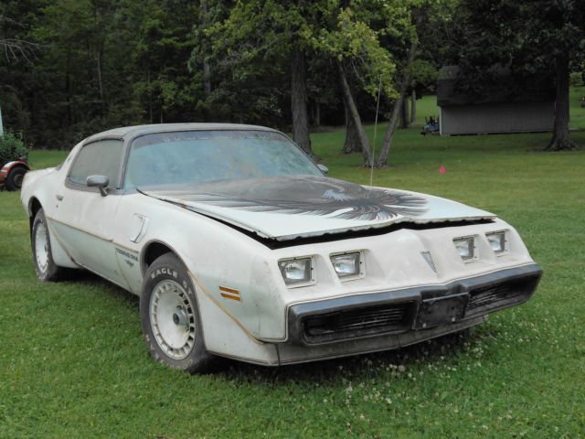1980 Pontiac Firebird Indy Pace Car Turbo - photo 3