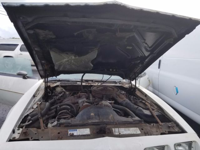 1980 Pontiac Firebird Indy Pace Car Turbo - photo 5