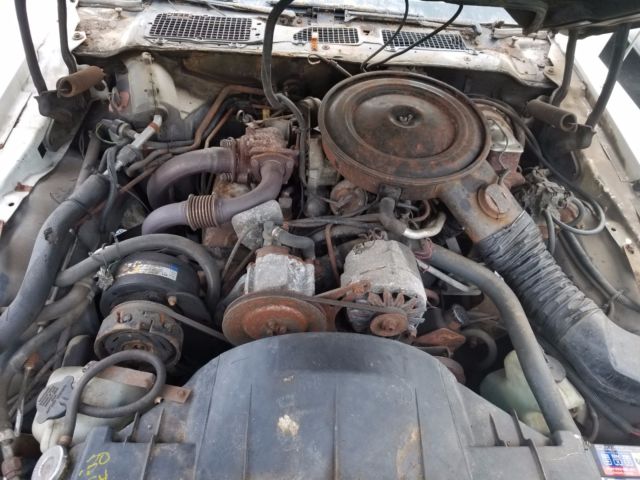 1980 Pontiac Firebird Indy Pace Car Turbo - photo 6