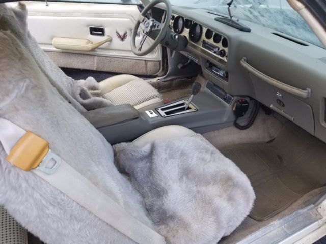 1980 Pontiac Firebird Indy Pace Car Turbo - photo 9