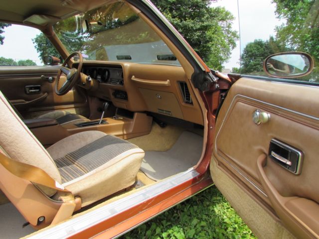 1980 Pontiac Firebird - photo 10