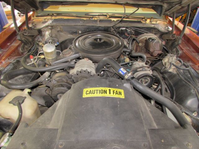 1980 Pontiac Firebird - photo 11