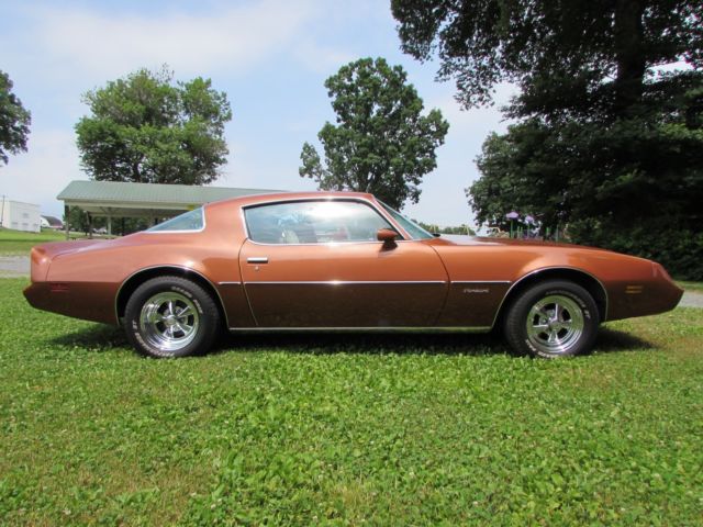 1980 Pontiac Firebird - photo 2