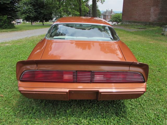 1980 Pontiac Firebird - photo 3