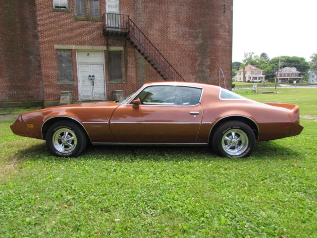1980 Pontiac Firebird - photo 4
