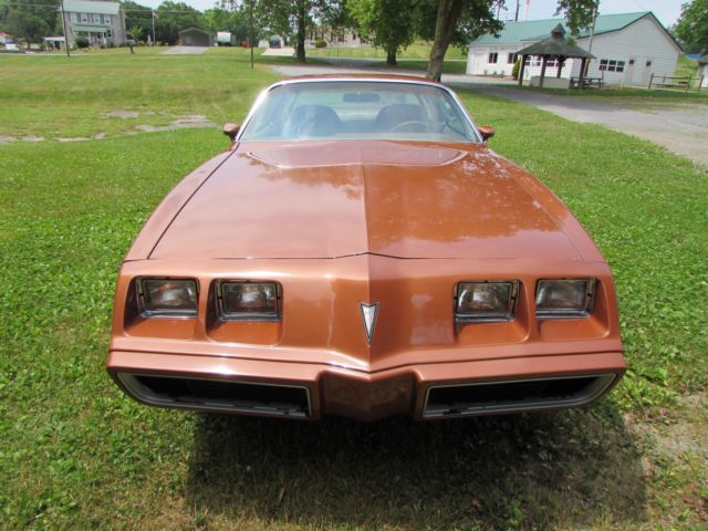 1980 Pontiac Firebird - photo 5
