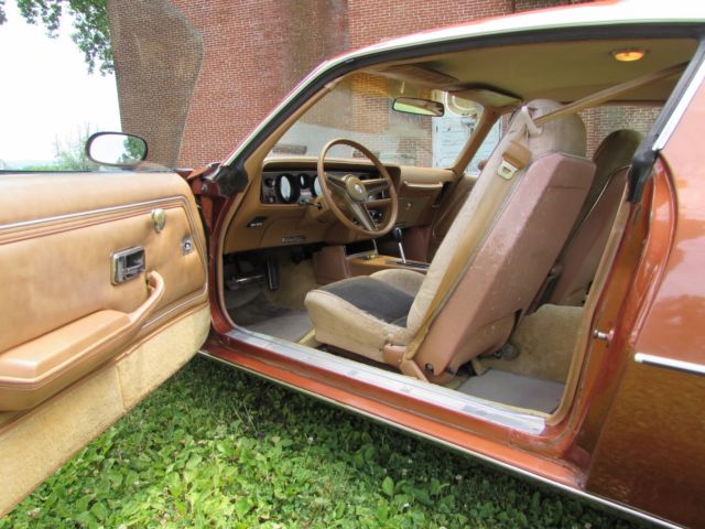 1980 Pontiac Firebird - photo 7