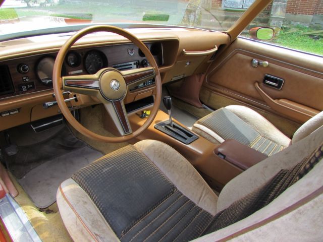 1980 Pontiac Firebird - photo 8