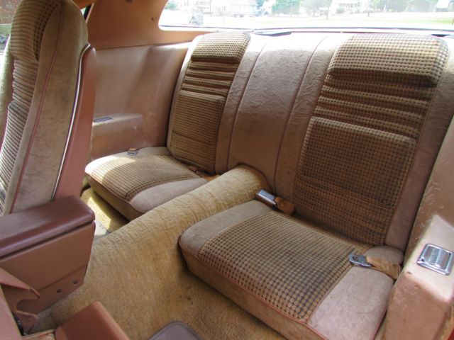 1980 Pontiac Firebird - photo 9