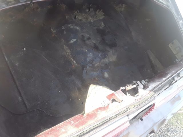 1980 Pontiac Firebird NO RESERVE, RUST FREE BODY! SMOKEY AND THE BANDIT - photo 12