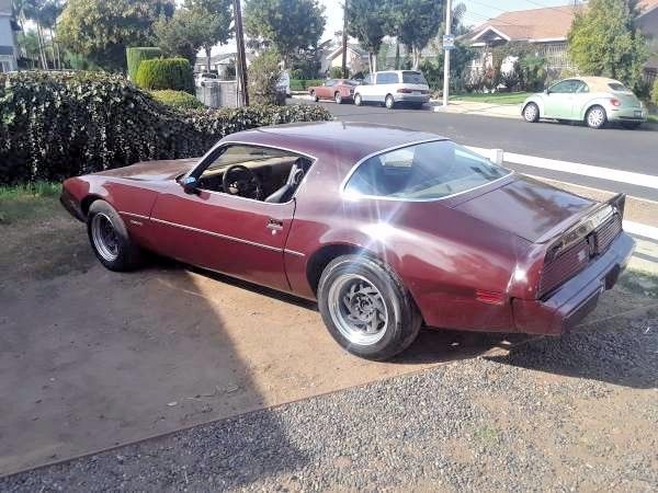 1980 Pontiac Firebird NO RESERVE, RUST FREE BODY! SMOKEY AND THE BANDIT - photo 2