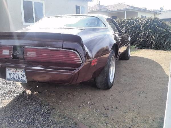 1980 Pontiac Firebird NO RESERVE, RUST FREE BODY! SMOKEY AND THE BANDIT - photo 3