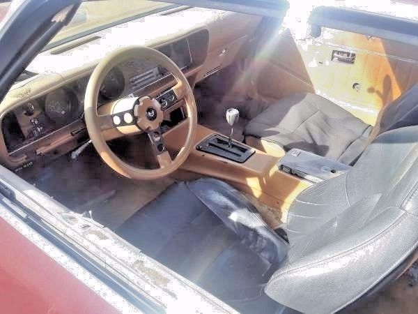 1980 Pontiac Firebird NO RESERVE, RUST FREE BODY! SMOKEY AND THE BANDIT - photo 8
