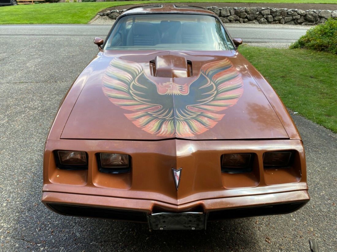 1980 Pontiac Trans Am - photo 11
