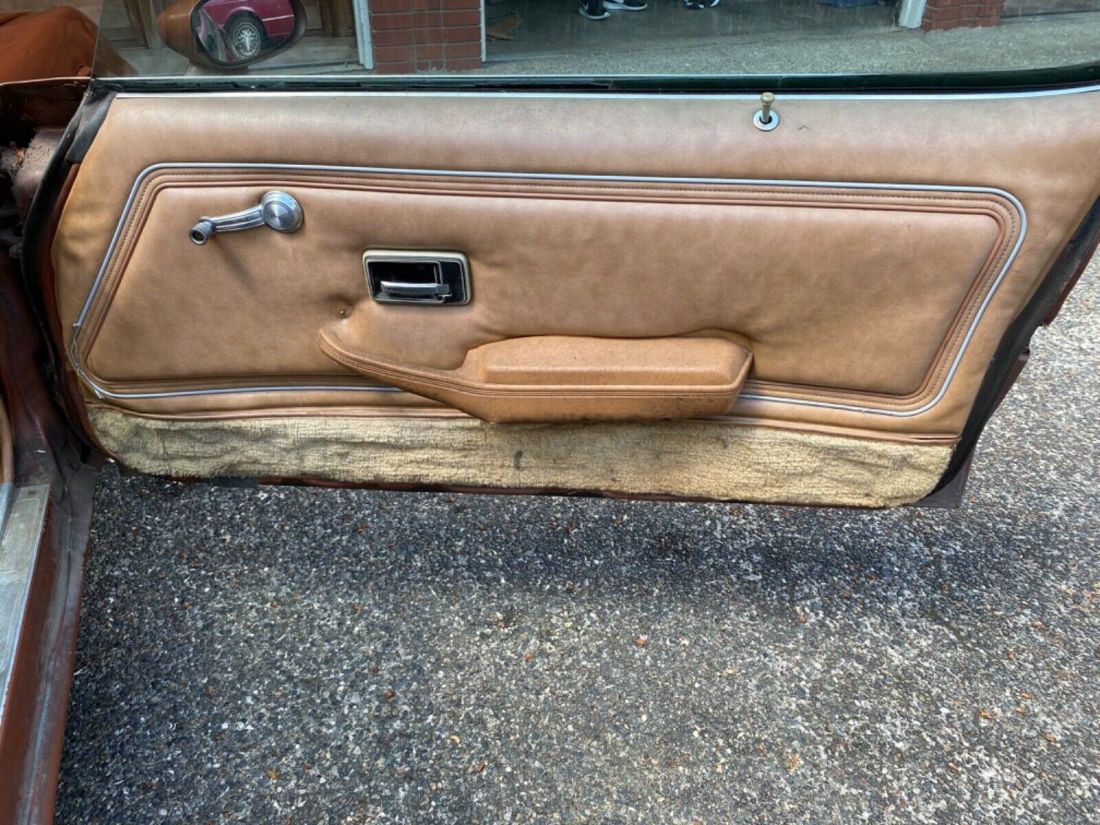 1980 Pontiac Trans Am - photo 12