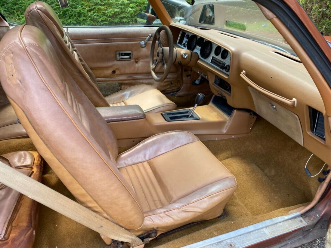 1980 Pontiac Trans Am - photo 13