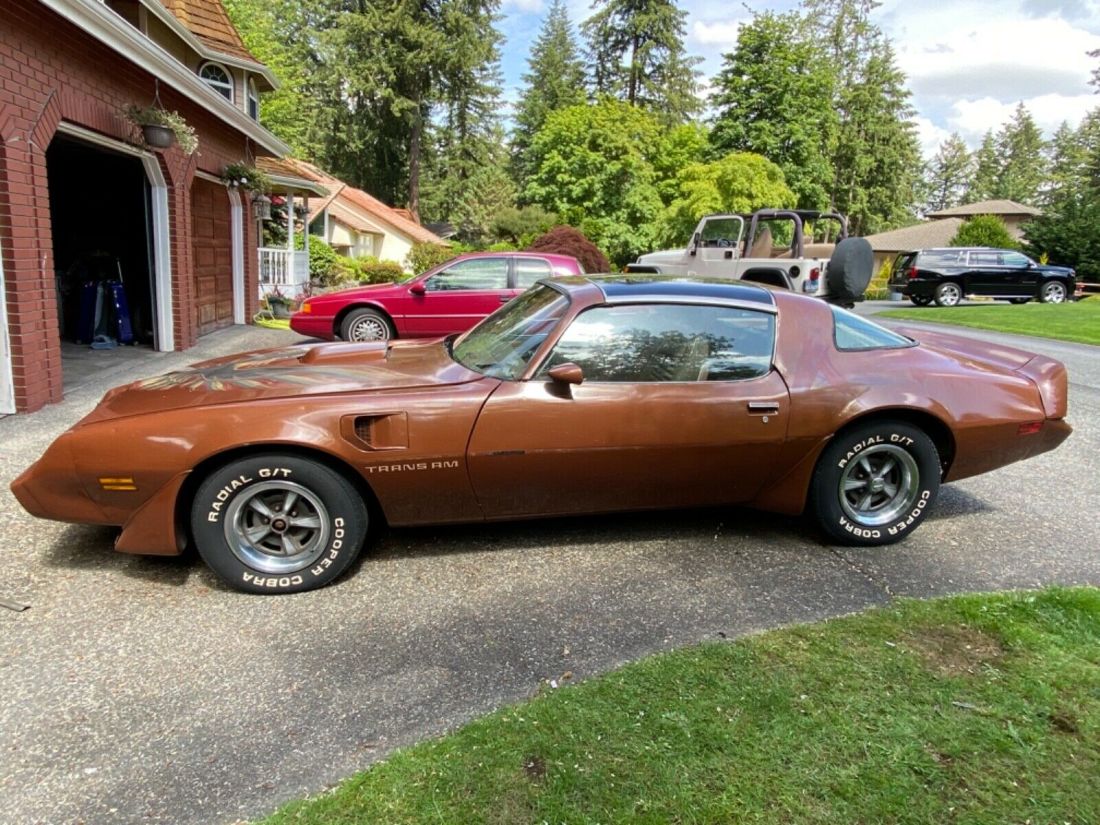 1980 Pontiac Trans Am - photo 3