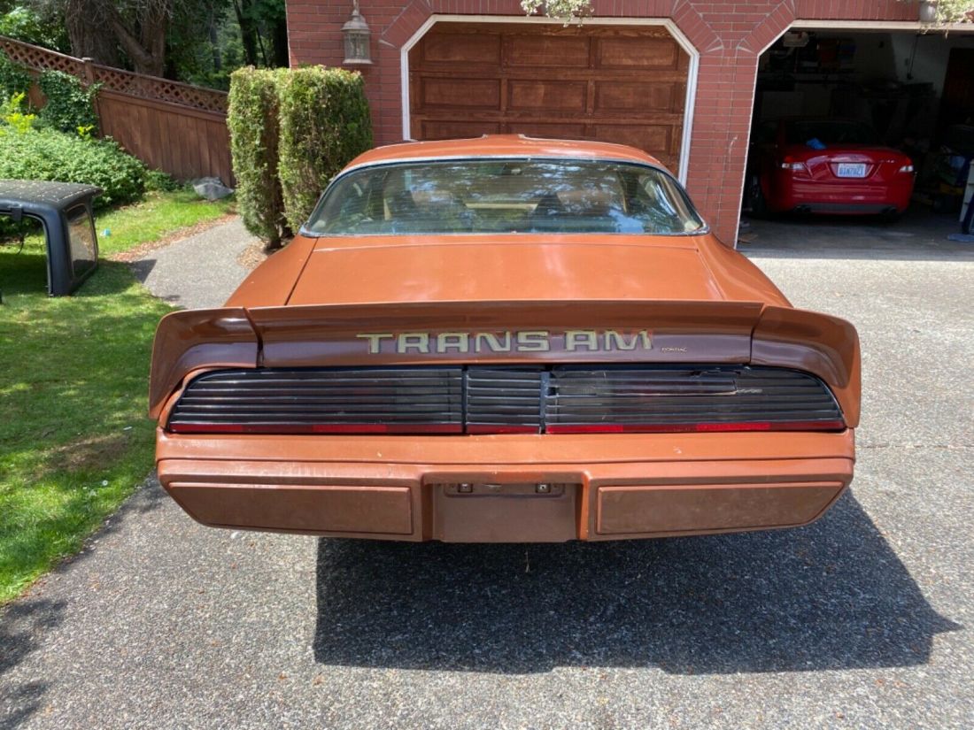 1980 Pontiac Trans Am - photo 6