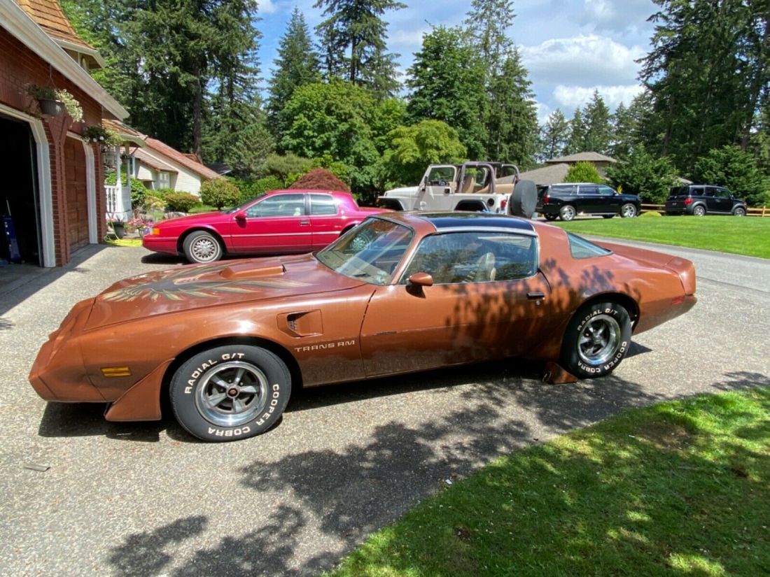 1980 Pontiac Trans Am - photo 8