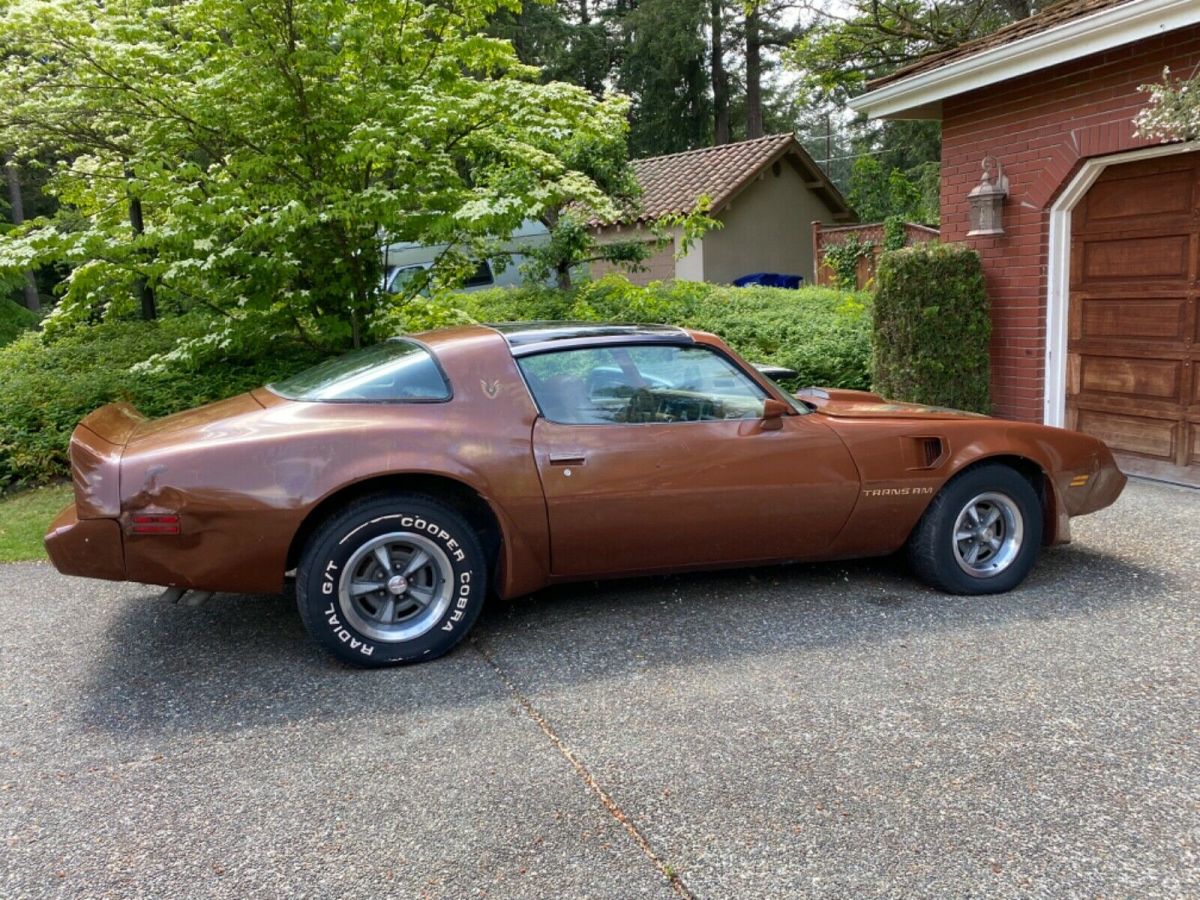 1980 Pontiac Trans Am - photo 9