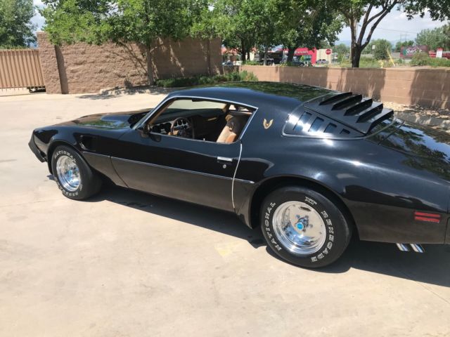 1980 Pontiac Trans Am - photo 8