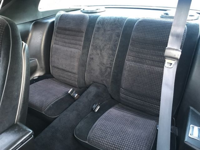 1980 Pontiac Firebird Trans Am - photo 10