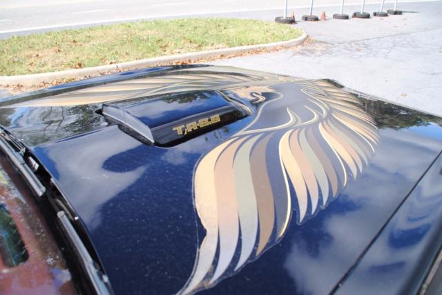 1980 Pontiac Firebird - photo 13