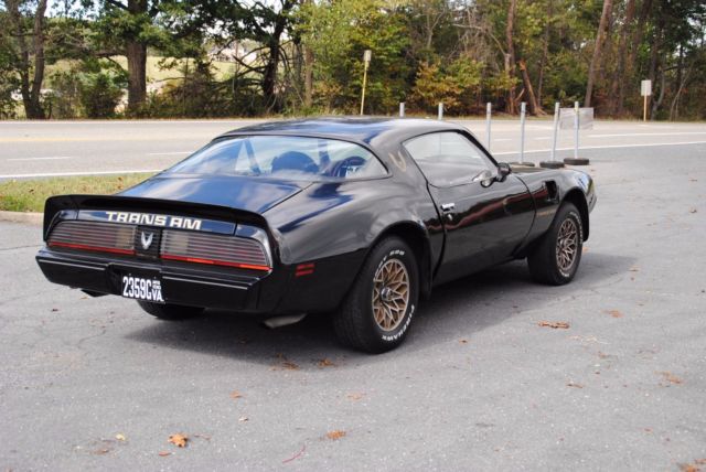 1980 Pontiac Firebird - photo 4