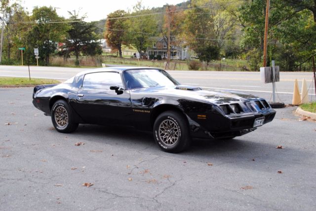 1980 Pontiac Firebird - photo 5