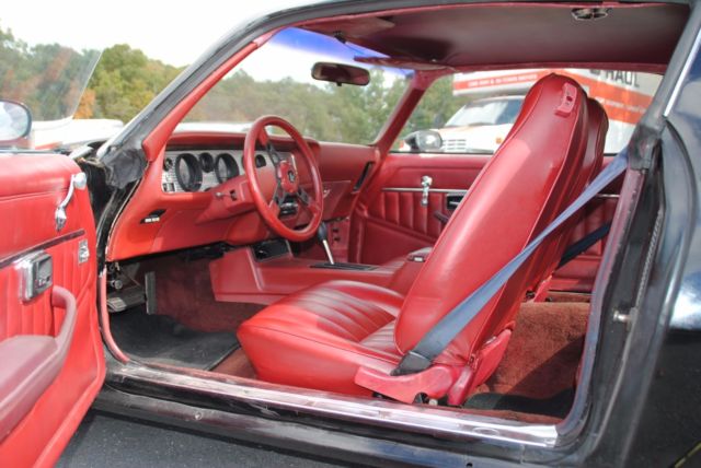 1980 Pontiac Firebird - photo 8