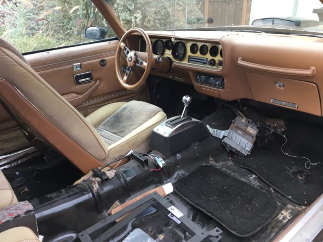 1980 Pontiac Trans Am - photo 3