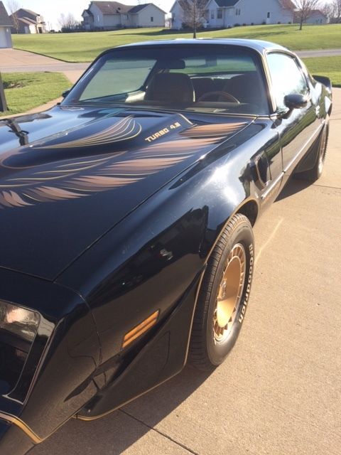 1980 Pontiac Firebird - photo 10