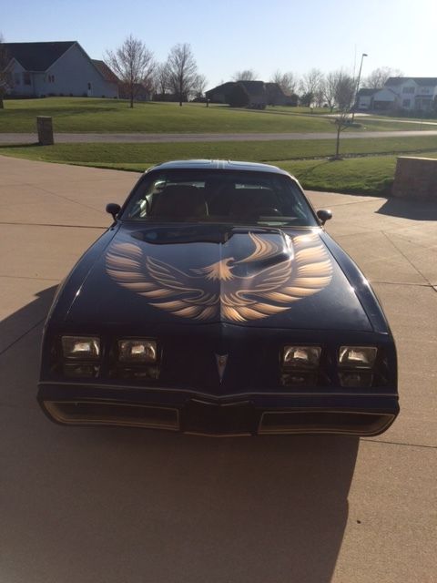 1980 Pontiac Firebird - photo 11