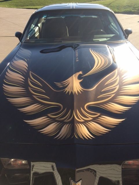 1980 Pontiac Firebird - photo 2