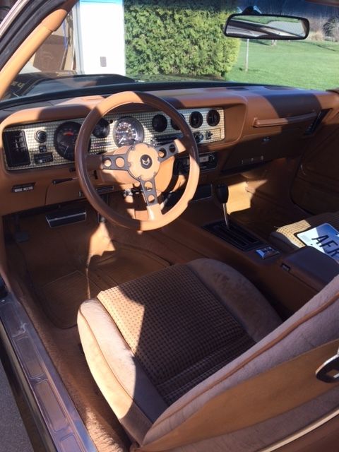 1980 Pontiac Firebird - photo 3