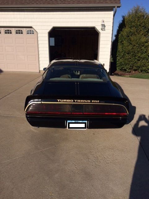 1980 Pontiac Firebird - photo 4