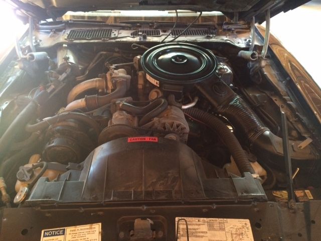 1980 Pontiac Firebird - photo 7