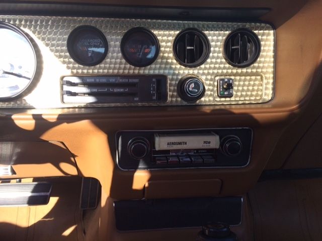 1980 Pontiac Firebird - photo 9