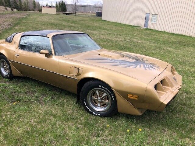 1980 Pontiac Firebird - photo 11