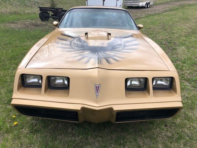 1980 Pontiac Firebird - photo 12