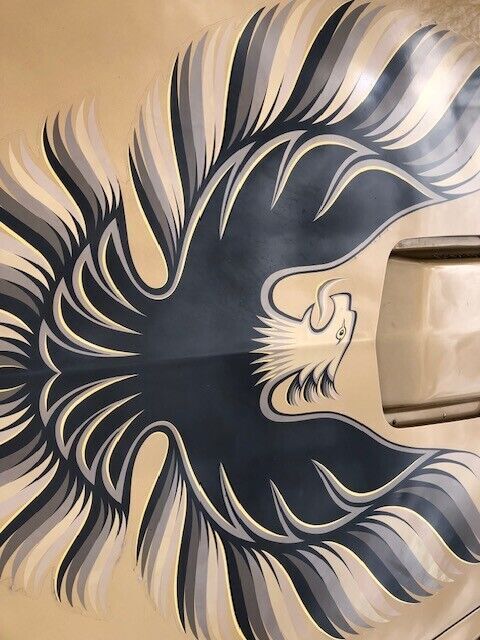 1980 Pontiac Firebird - photo 13