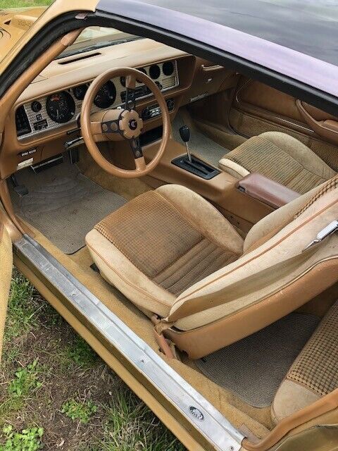 1980 Pontiac Firebird - photo 2