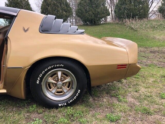 1980 Pontiac Firebird - photo 3
